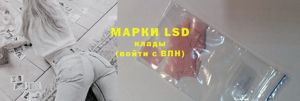 спиды Алзамай