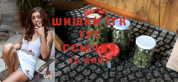 бошки Каменка