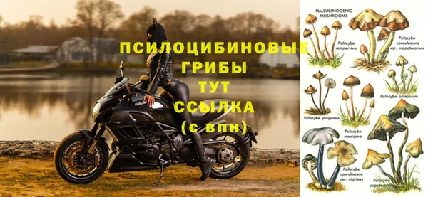 твердый Надым