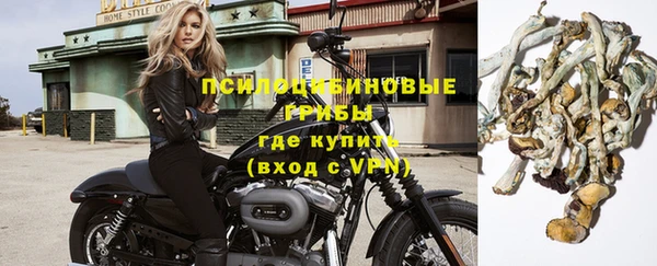 эйфоретик Алексеевка