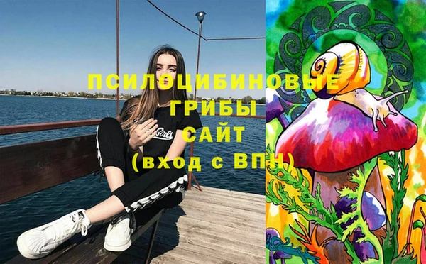 твердый Надым