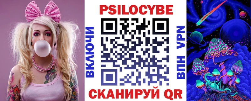 Псилоцибиновые грибы Psilocybe  где можно купить   darknet какой сайт  Рошаль 